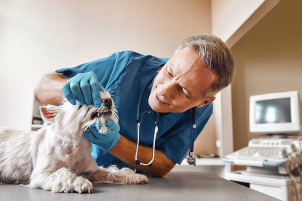 Best Emergency Root Canal Treatment in Wanamassa, NJ